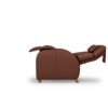 8 Website Product images resized PP Cafe Chesnut TRUE ZERO GRAVITY 270