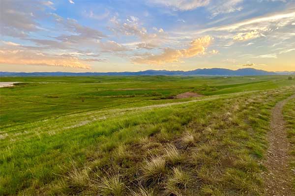 những ngọn đồi nhấp nhô ở colorado