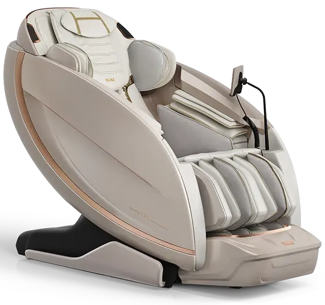 Massage Chairs - Furniture For Life